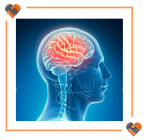 Neurologia